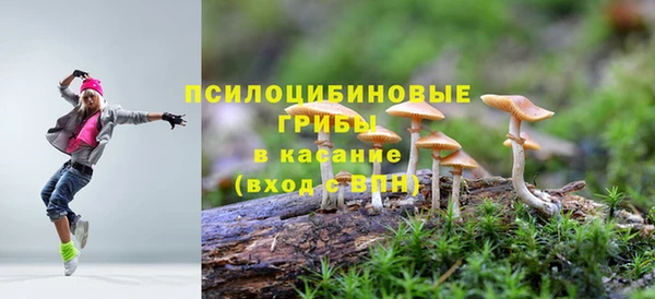 spice Алексеевка