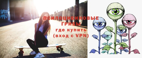 ГАЛЛЮЦИНОГЕННЫЕ ГРИБЫ Абаза