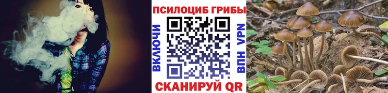 хочу наркоту  площадка формула  Псилоцибиновые грибы мицелий  Болотное 
